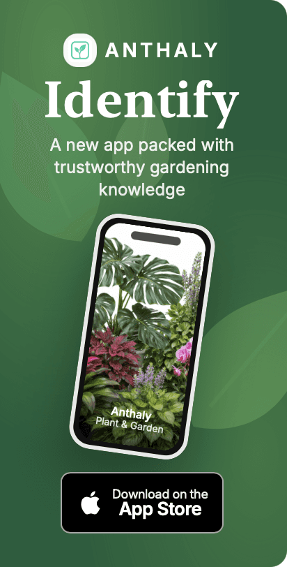 Anthaly — Identify plants. Download on the App Store